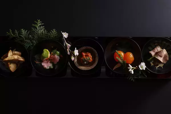 「【2026年4月リブランド】京都・夕日ヶ浦温泉「旅亭 櫂 -KAI-」誕生。木造のあたたかさと、素材の“滋味”を味わう「旅先の料亭」へ。」の画像