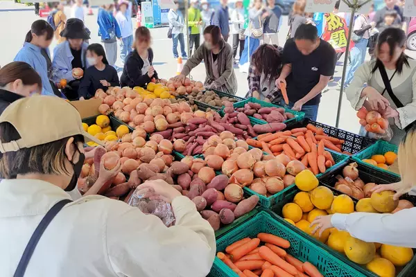 「ガソリン・物価高でもお得に楽しむ！無料コンテンツ充実　こんにゃくパークの『2026年GWイベント』5/2(土)より開催」の画像