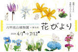 「六甲高山植物園×暦生活『花びより』開催決定2026年4月1日(水)～7月12日(日)」の画像1