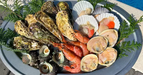 「中之島の夜空と水面を彩る「水都大阪花火 鑑賞ナイト」、2026年3月13日(金)開催！」の画像