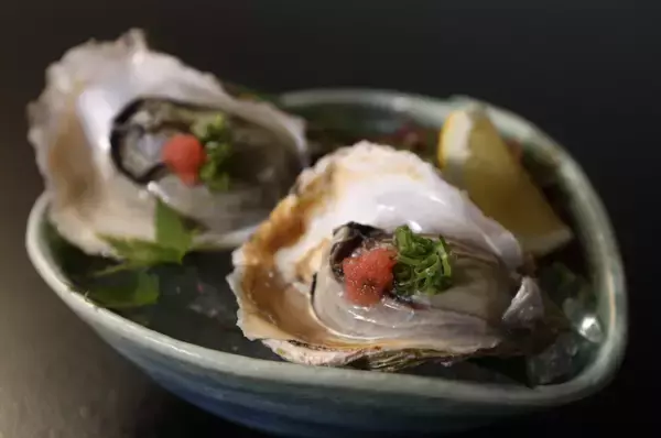 「隠岐の春、解禁　高速船就航日の3月1日「勝手に、島びらき。2026」開催」の画像