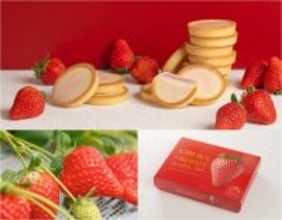 10年かけて誕生したいちご「チーバベリー」をつかった甘酸っぱい苺が紡ぐ千葉の新商品！― 「チーバベリーショコラタルト」2026年3月6日新発売 ―