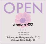 「広告代理店ケテル、渋谷に新拠点。BAR「anemone403」を“企業向け体験型広告メディア”として展開」の画像3