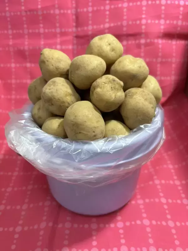 「旅行帰りに思わず挑戦したくなる週末企画が勢ぞろい　京葉道路幕張PA上り線「旬撰倶楽部 房総・村の駅」2月限定農産物イベント開催」の画像