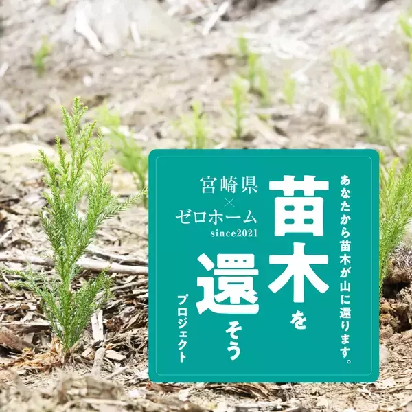 使った分の木を山に還す「苗木を還そうプロジェクト」宮崎県にスギの再造林費用を寄付