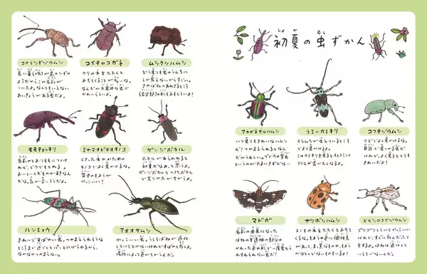 「虫好き作家の意欲作！横山寛多氏の新刊児童書読み物『虫なんてとってどうするの？ ―ぼくとおじいちゃんの虫日記―』が2026年4月22日発売」の画像
