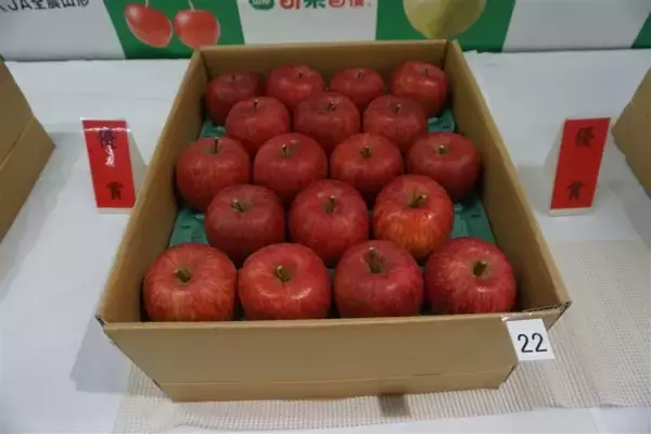 「山形県りんご「ふじ」品評会入賞商品を限定販売！ ＪＡタウンのショップ「小さなＹＡＭＡＧＡＴＡマルシェ」に登場！ ～無袋ふじ栽培発祥の地、山形県からお届け～」の画像