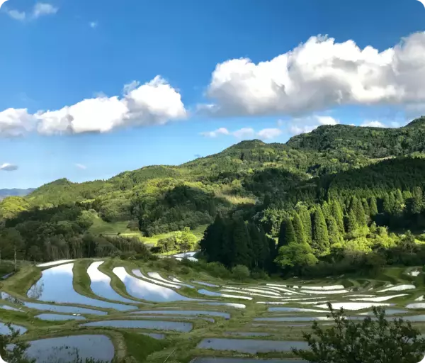 都心から約90分の“日本の原風景”千葉・鴨川の里山エリアで楽しむ　古民家宿＆カフェ5選