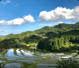 都心から約90分の“日本の原風景”千葉・鴨川の里山エリアで楽しむ　古民家宿＆カフェ5選