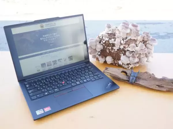 「【群馬・みなかみ町】山沿いの「小さなきのこ園」が、生成AIを活用し9,600ページ超の巨大サイトを完全内製でリニューアル。～5,000件の飼育データと1,800通のファンレター。20年分の「集合知」と「絆」を次世代につなぐDX事例～」の画像