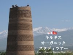 シルクロードの天空の国キルギス　世界遊牧民競技大会とオーガニックの旅「キルギス　オーガニック・スタディツアー」開催のご案内