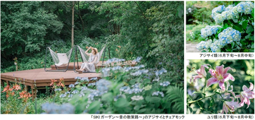 ROKKO森の音ミュージアムSIKIガーデンSummer Season“Symphony”夏の花々とアート、音楽が調和したフェアを開催2026年6月26日（金）～8月21日（金）