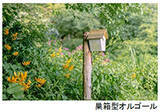 「ROKKO森の音ミュージアムSIKIガーデンSummer Season“Symphony”夏の花々とアート、音楽が調和したフェアを開催2026年6月26日（金）～8月21日（金）」の画像2