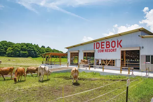 「静岡・富士山麓発！ミルクを楽しむお店「IDEBOK(いでぼく)」がエスパルスドリームプラザにオープン」の画像