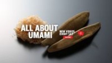 業務用削り節製造の小林食品から世界へ和食・鰹節を紹介　YouTubeチャンネル「All About Umami」を開設、動画配信開始