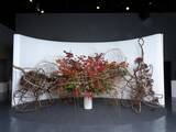 「「いけばな龍生展 植物の貌2025」全出展作品を掲載！龍生展特集号『いけ花龍生』2026年2月号、販売中」の画像3