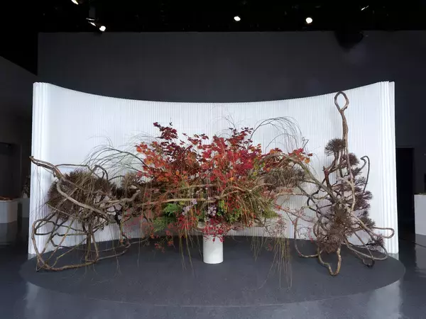 「「いけばな龍生展 植物の貌2025」全出展作品を掲載！龍生展特集号『いけ花龍生』2026年2月号、販売中」の画像