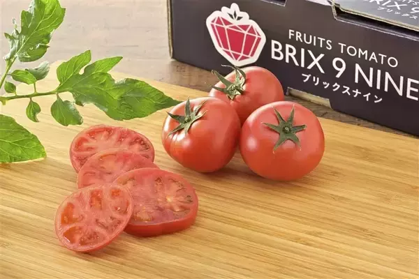 「群馬県のショップ「新鮮ぐんまみのり館」で対象商品が２０％ＯＦＦ！産地直送通販サイト「ＪＡタウン」で「年度末大決算セール」を開催中！」の画像