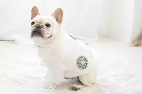 「暑い」と言えない家族のために　服の中に風の通り道をつくる「空調ペット服(R)バルーンタイプ」8/18誕生！