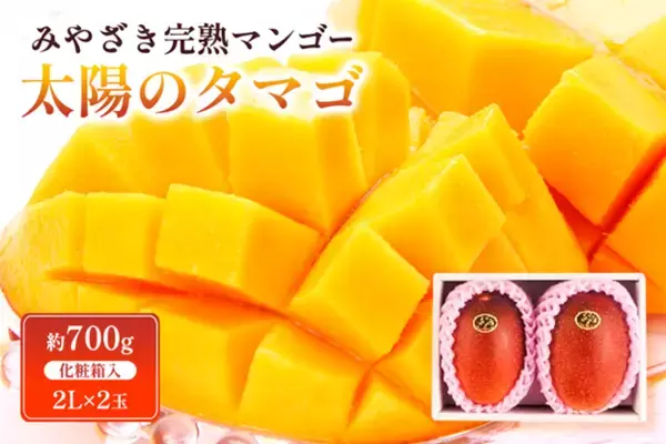 宮崎県産完熟マンゴー「太陽のタマゴ」を期間・数量限定で販売！先着100個お客様送料負担なし＆特別価格　JAタウンのショップ「JAみやざき Tege Mahalo」からお届け