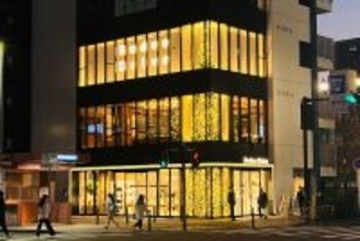 関内の夜空を照らす冬のシンボル今年も輝く高さ約12mのクリスマスツリー　『ロデオドライブ横浜関内店』