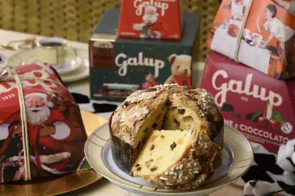 「クリスマスの新定番！イタリアのクリスマス伝統菓子パネットーネが12月3日(水)より松屋銀座・大丸札幌店・オンラインサイトで販売開始」の画像