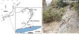 「【岡山理科大学】モササウルス類の前上顎骨を国内で初めて確認　他に類例ない特徴も」の画像3