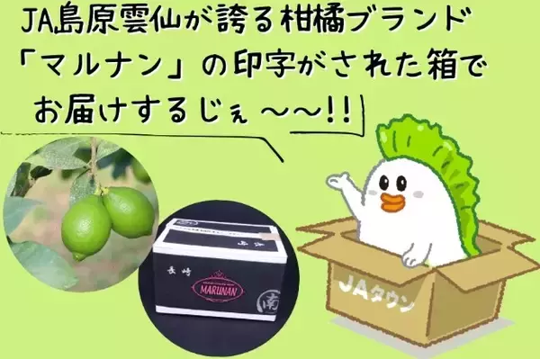 「長崎県産の「グリーンレモン」をＪＡタウンのショップ「もぐもぐながさき」で販売開始！夏から秋だけ味わえる爽やかな香りと酸味が特長」の画像