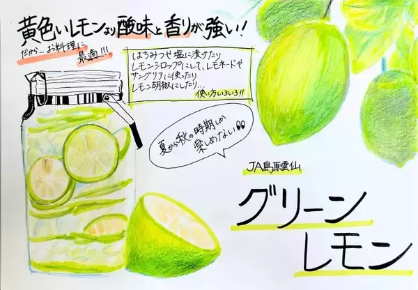 「長崎県産の「グリーンレモン」をＪＡタウンのショップ「もぐもぐながさき」で販売開始！夏から秋だけ味わえる爽やかな香りと酸味が特長」の画像