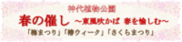 神代植物公園「春の催し～東風吹(こちふ)かば 春を愉しむ～」開催