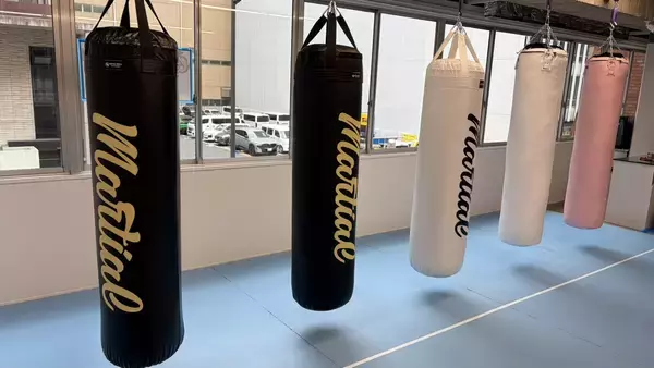 「大阪・本町にブラジリアン柔術ジム　「ALMA FIGHT GYM OSAKA HONMACHI」が2026年2月16日新規オープン」の画像