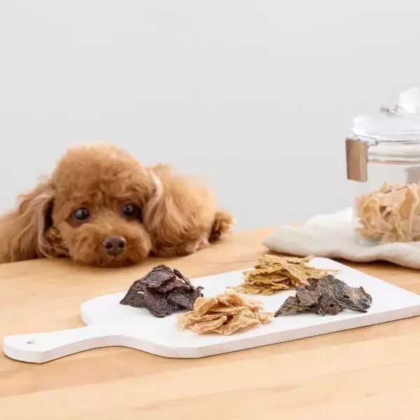 「ペピイ、「第15回インターペット東京」に出展　犬猫の健康寿命を支えるおやつを提案」の画像