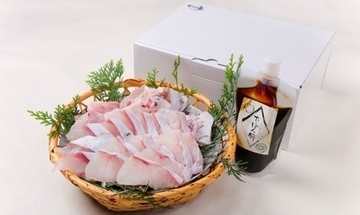 近大クエタマを和歌山県白浜町のふるさと納税返礼品として提供　クエとタマカイのサラブレッド魚「クエタマ」を鍋セットで