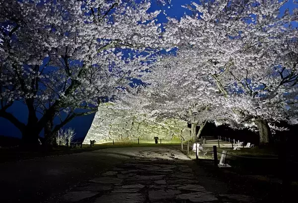 「「天空の城」竹田城跡のふもとで春のお花見プラン発表「宿屋 天空」桜の季節だけ15%OFF　1名様5,100円から」の画像