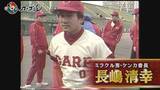 「広島ホームテレビ【カープ道】「アノ選手は今！第2の舞台は台湾カレー」」の画像2