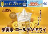 「果実氷シリーズ初！ゴールデンキウイ使用！ハロハロ　果実氷ゴールデンキウイ」の画像1