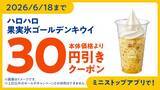 「果実氷シリーズ初！ゴールデンキウイ使用！ハロハロ　果実氷ゴールデンキウイ」の画像3