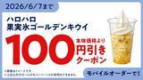 「果実氷シリーズ初！ゴールデンキウイ使用！ハロハロ　果実氷ゴールデンキウイ」の画像4
