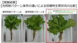 「植物工場の常識を変えるLED技術が 「第40回神奈川工業技術開発大賞 奨励賞」受賞」の画像3