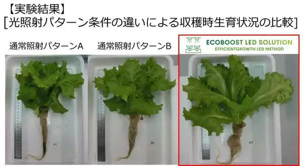 「植物工場の常識を変えるLED技術が 「第40回神奈川工業技術開発大賞 奨励賞」受賞」の画像