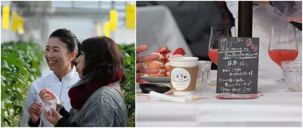 「＜いちご専門店の道の駅 いちごBonBonBERRY＞大好評の直営農園でのいちご狩りイベントを2026年も開催！」の画像