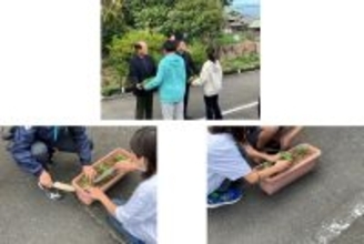 未来ある子供たちのために 小学校に花の苗を届け続けて３５年