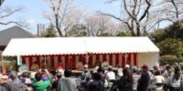 【4/4(土)】約120本の桜咲く秋留台公園で第32回「春を紡ぐお箏の調べ」を開催！