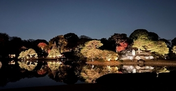 庭紅葉の六義園　夜間特別観賞令和８年11月25日（水）～12月６日（日）開催