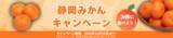 「産地直送通販サイト「ＪＡタウン」のショップ しずおか『手しお屋』で「静岡みかんキャンペーン」を開催！」の画像1