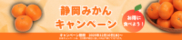 産地直送通販サイト「ＪＡタウン」のショップ しずおか『手しお屋』で「静岡みかんキャンペーン」を開催！