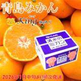 「産地直送通販サイト「ＪＡタウン」のショップ しずおか『手しお屋』で「静岡みかんキャンペーン」を開催！」の画像4