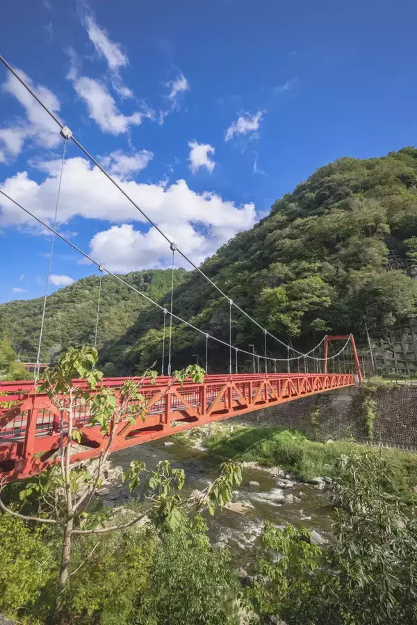 「子育て世帯特化の不動産仲介、西宮市北部で開始～「物件」ではなく「暮らし」を選ぶ家探しへ～」の画像