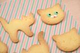 「【新店情報】カジュアルイタリアンとパティシエこだわりのケーキショップ　愛知県江南市の「la CASA TERRACE」にニューオープン」の画像2