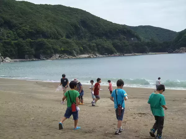 「【徳島県美波町】日和佐うみがめ博物館カレッタ「ファンクラブ」発足（2026年4月1日受付開始）　」の画像